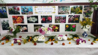 Фотовыставка "Цвет – это красота, цветы – это жизнь!"