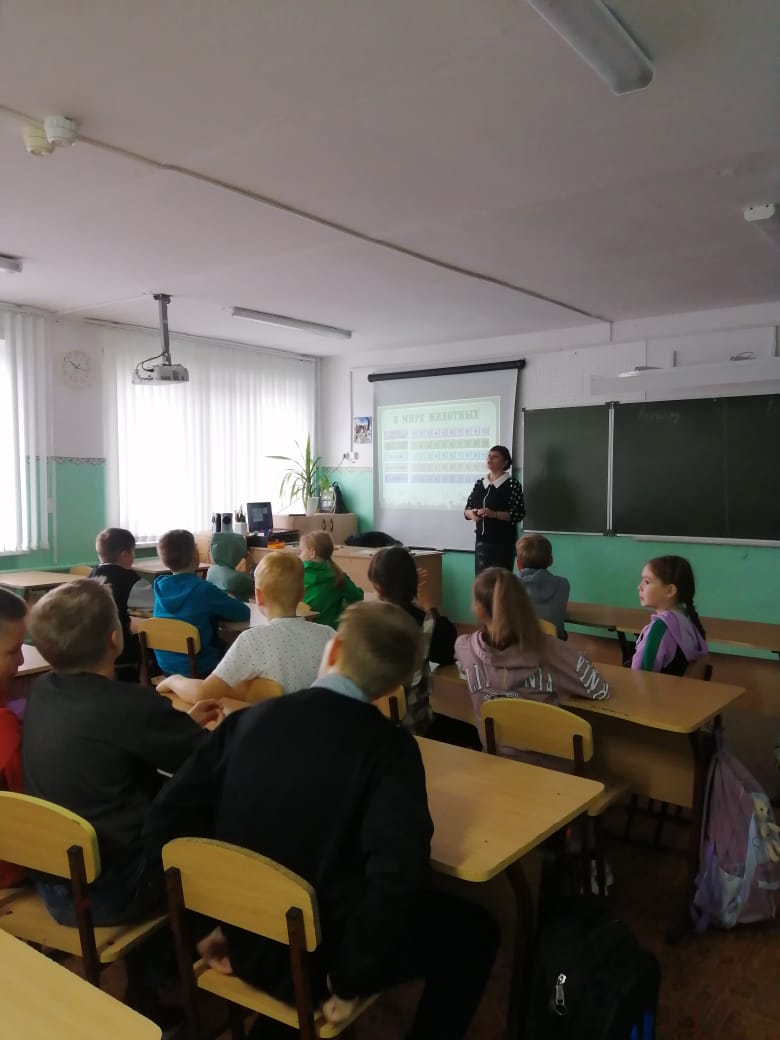 Тематическая беседа «И все они - создание природы»