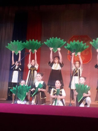Концертная программа «Мужество, доблесть и честь!»