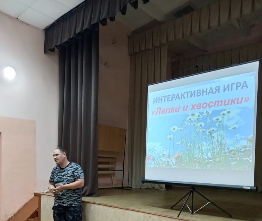 Интерактивная игра «Лапки и хвостики»