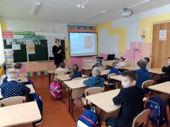 Познавательная программа «Снегири, снегири! До чего ж вы хороши!»
