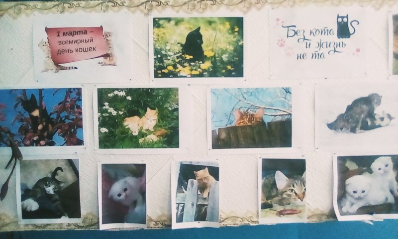 Фотовыставка «Без кота и жизнь не та»