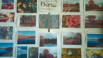 Фотовыставка "Осень к нам пришла"