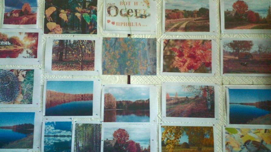 Фотовыставка "Осень к нам пришла"