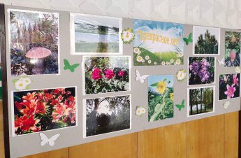 Фотовыставка «Прекрасное лето»