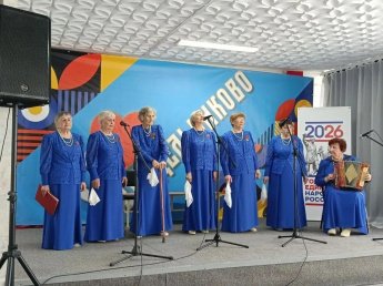 Концертная программа вокального коллектива «Журавушки»