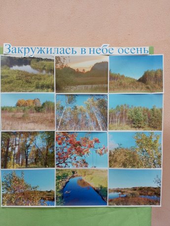 Фотовыставка «Закружилась в небе осень»