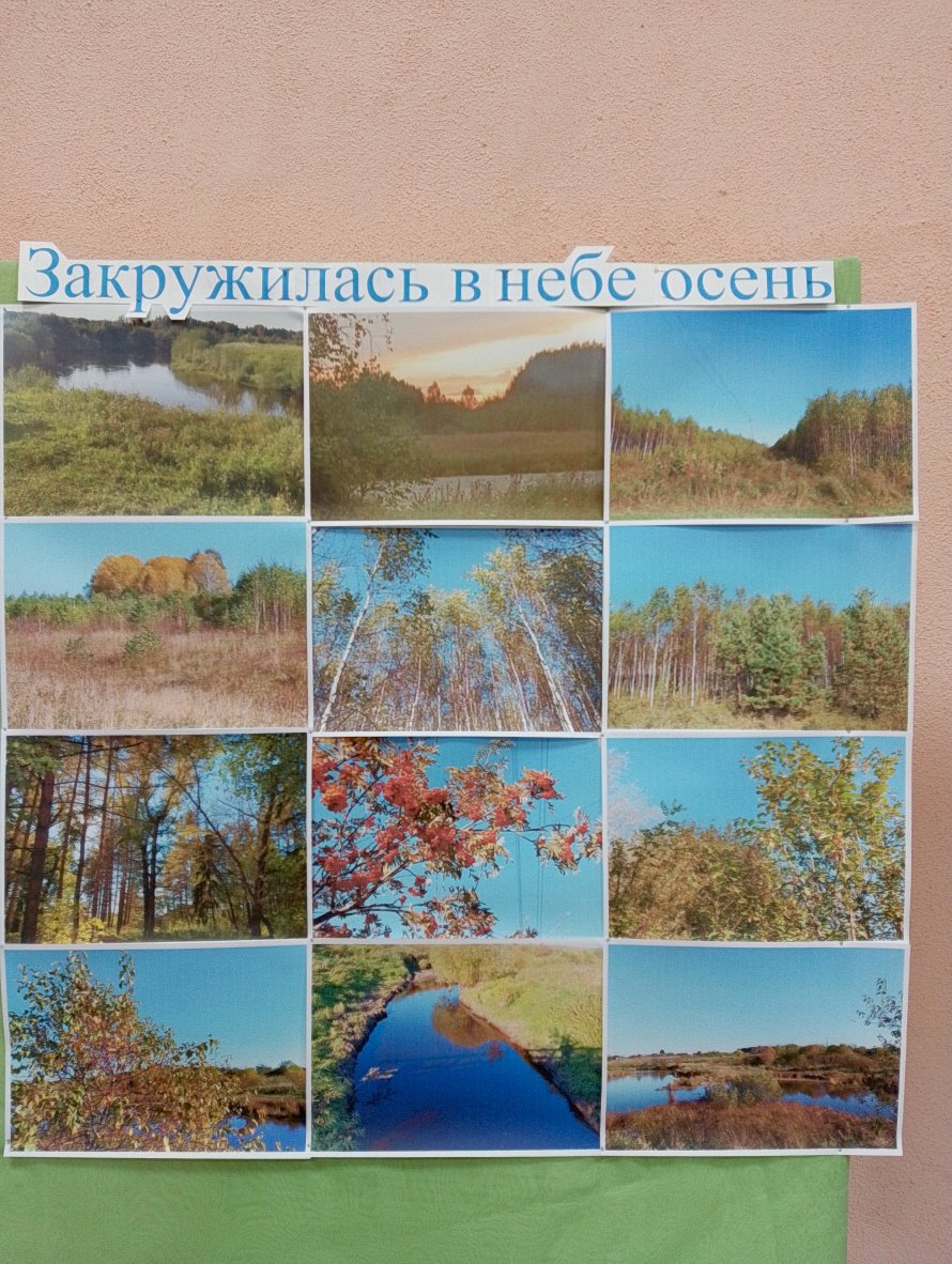 Фотовыставка «Закружилась в небе осень»