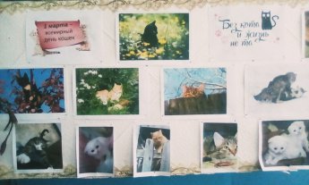 Фотовыставка «Без кота и жизнь не та»