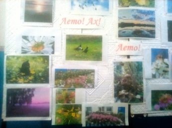 Выставка любительских фотографий «Ах, лето, лето!»